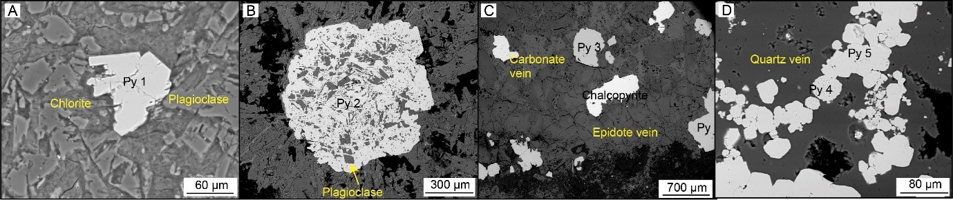 IODP 368航次新成果：首次揭示洋壳热液蚀变中微生物对硫和金属元素循环的重要作用